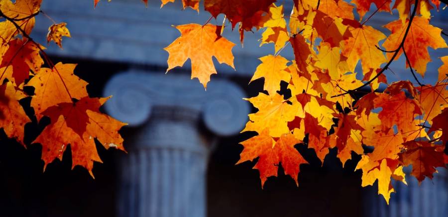 Autumn Leaves