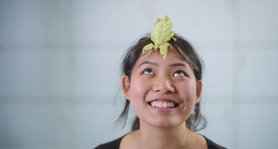 leaf
