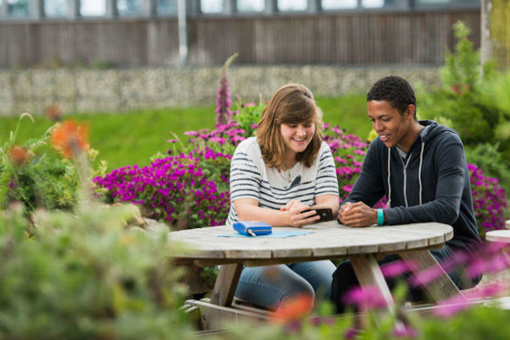 Students on bench surrounded by purple flowers