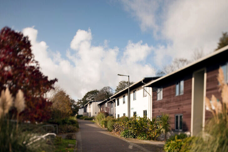 Glasney Student Village, white and wood panelled buildings with plants in front.