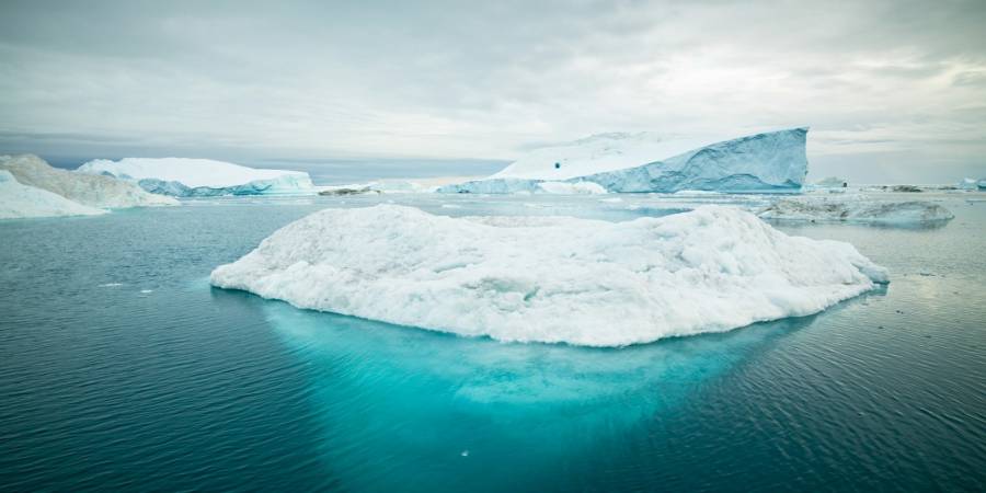 icebergs